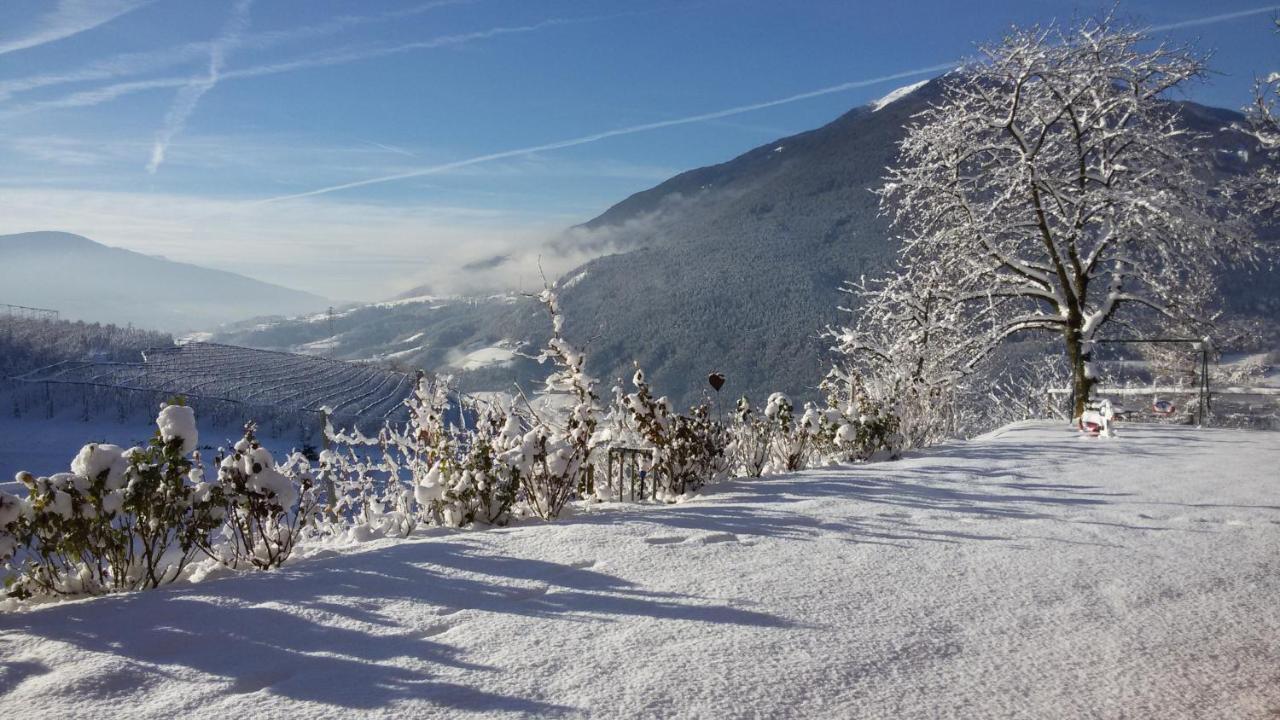 Trinnerhof- Hof Chalets Und Obsthof Mit Zimmer Natz-Schabs エクステリア 写真